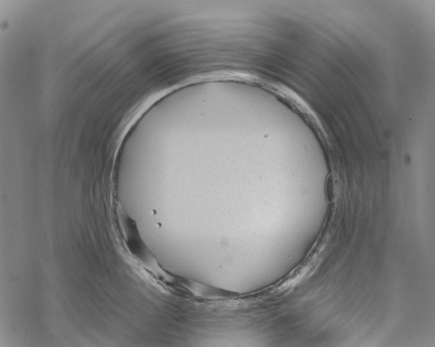 X0000067480860200605051710