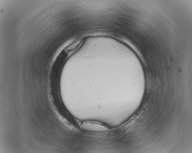 X0000067480861200605051711