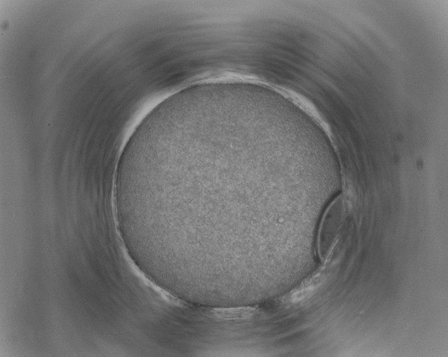 X0000067480863200605051711