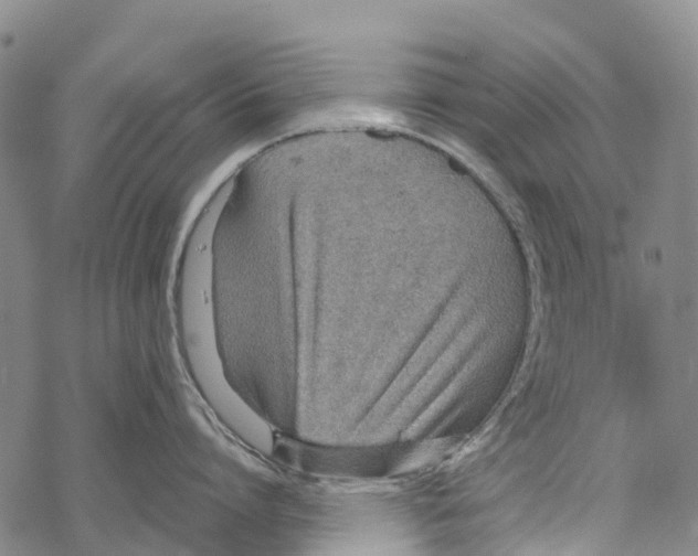 X0000067480864200605051711