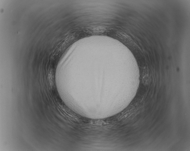 X0000067480866200605051710