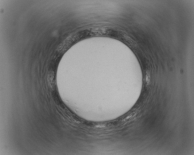 X0000067480867200605051710