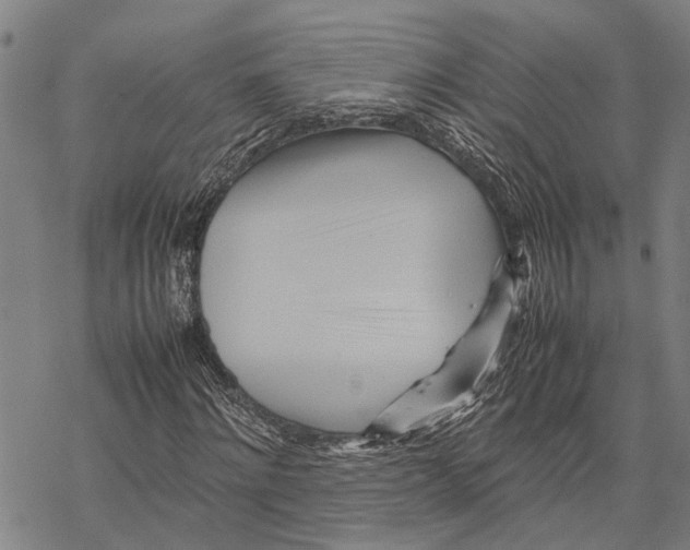 X0000067480868200605051710