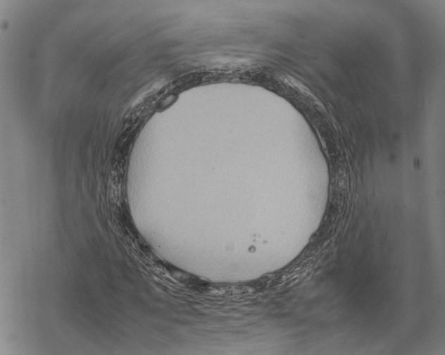 X0000067480869200605051710