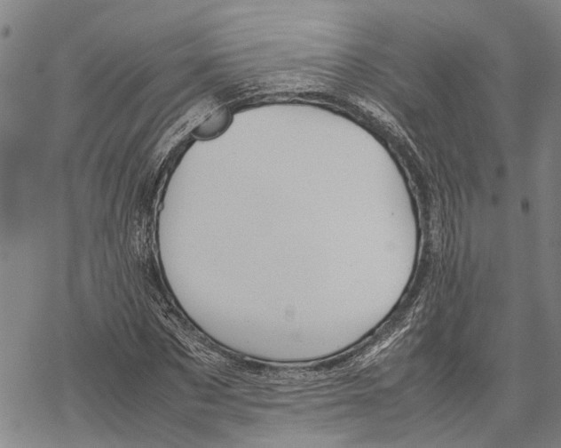 X0000067480873200605051710