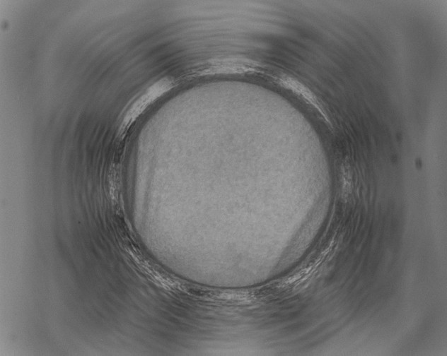 X0000067480874200605051710