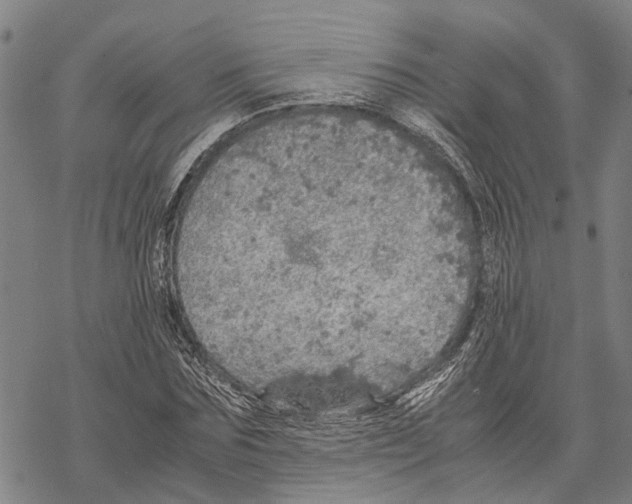 X0000067480875200605051710