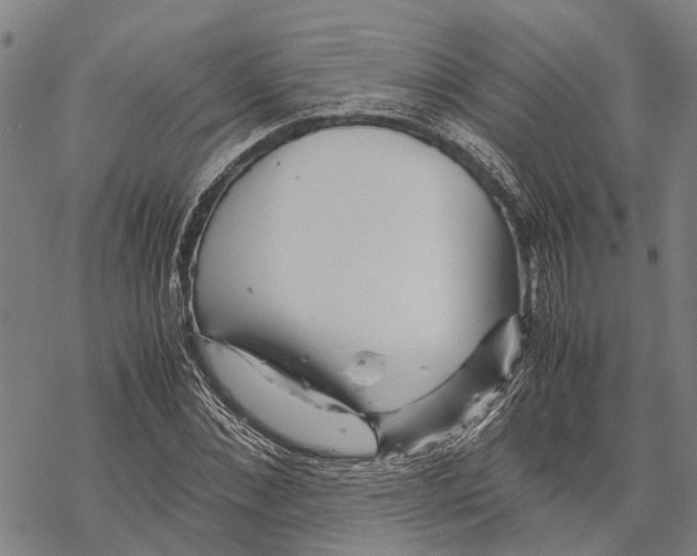 X0000067480876200605051710