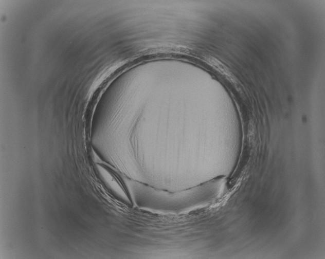 X0000067480877200605051710