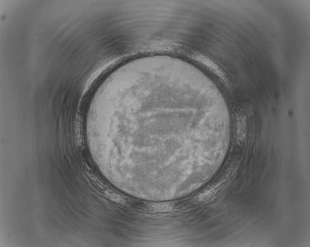 X0000067480878200605051710