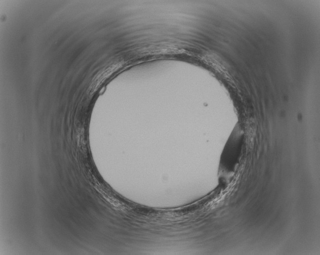 X0000067480881200605051710