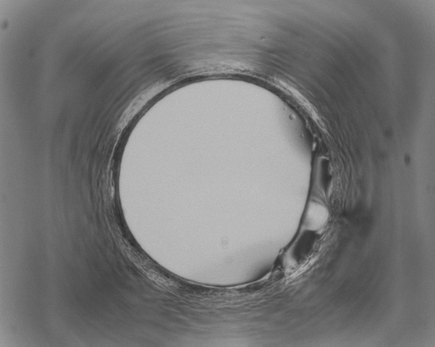 X0000067480885200605051709