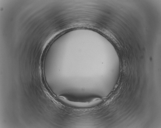 X0000067480888200605051709