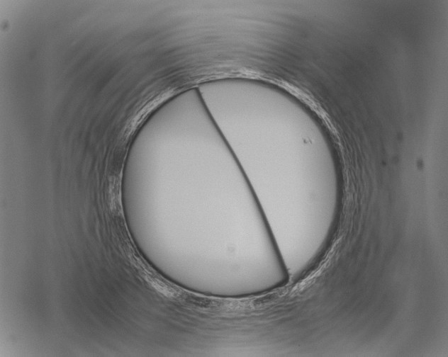 X0000067480889200605051709