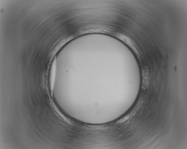 X0000067480890200605051709