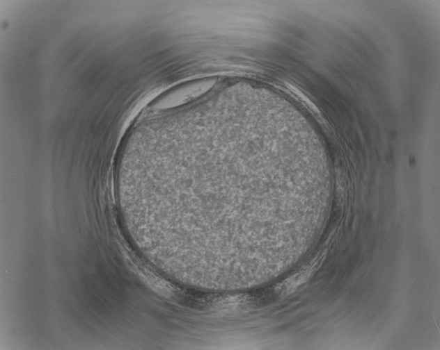 X0000067480891200605051709