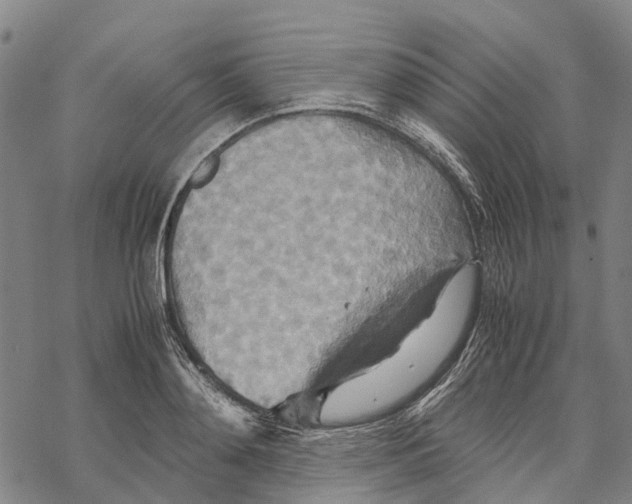 X0000067480892200605051709