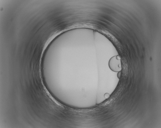 X0000067480894200605051709