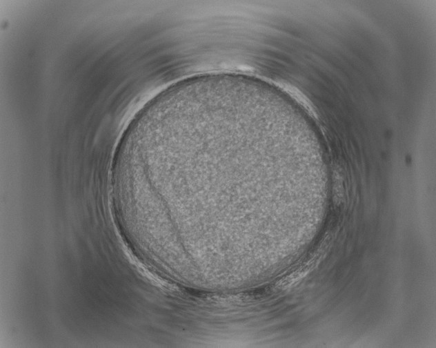 X0000067480895200605051709