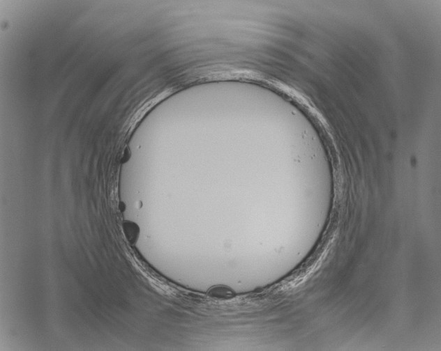 X0000067480897200605051709