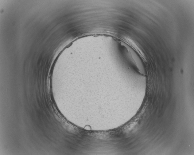 X0000067480900200605051709