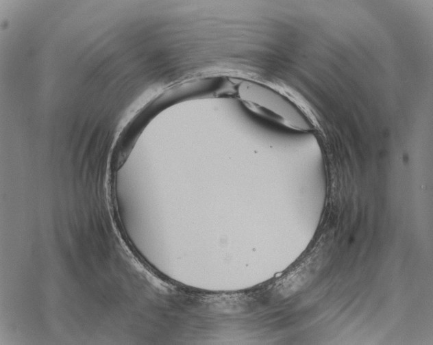 X0000067480902200605051709