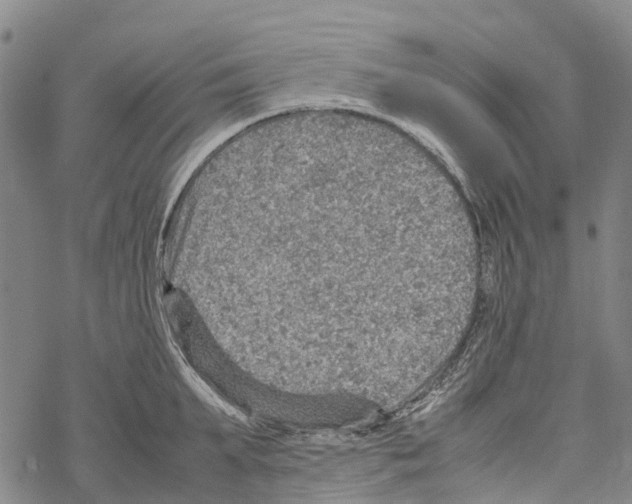 X0000067480903200605051709