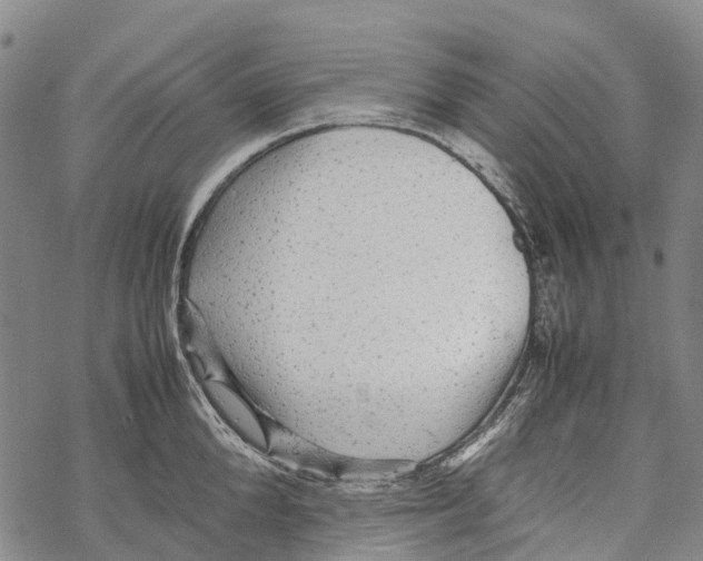 X0000067480904200605051709