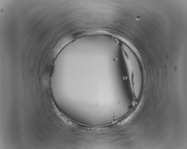 X0000067480905200605051709