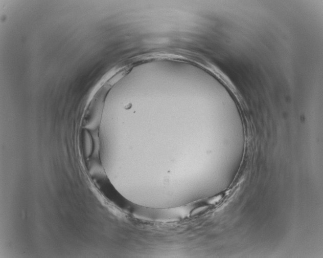 X0000067480909200605051709