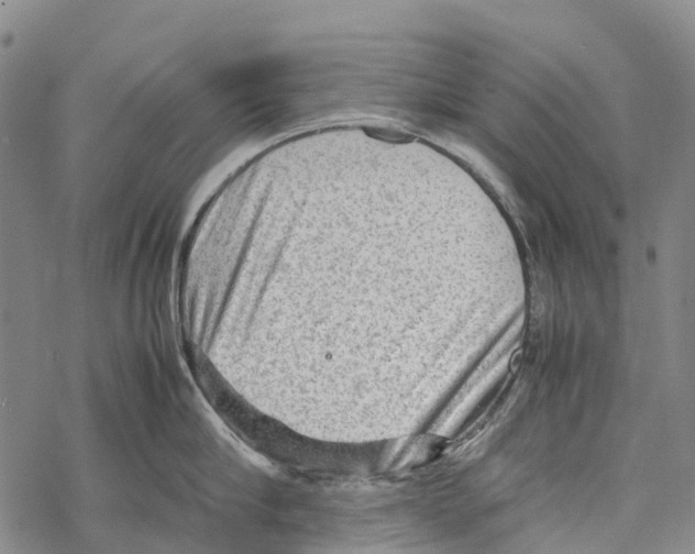 X0000067480910200605051709