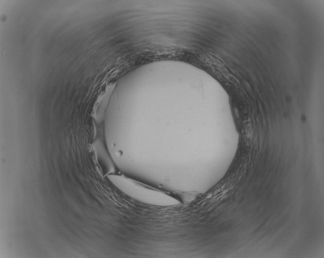 X0000067480916200605051708