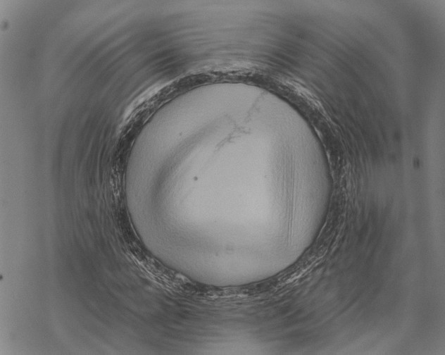 X0000067480920200605051708