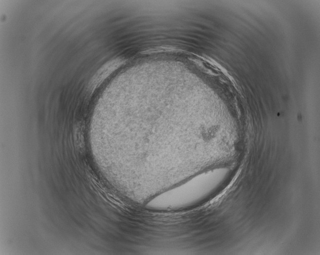 X0000067480921200605051708