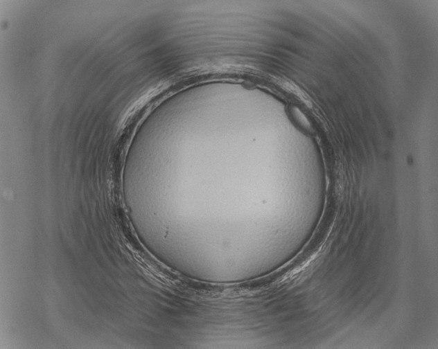 X0000067480922200605051708