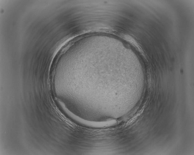 X0000067480924200605051708