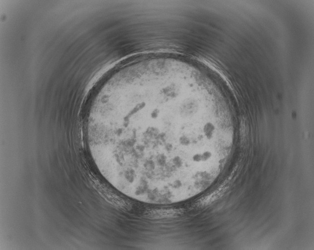 X0000067480925200605051708