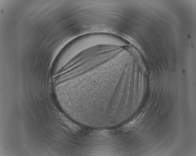 X0000067480926200605051708