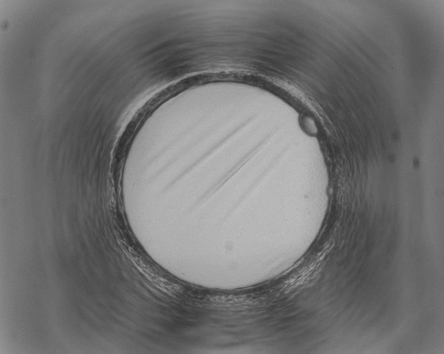 X0000067480927200605051708