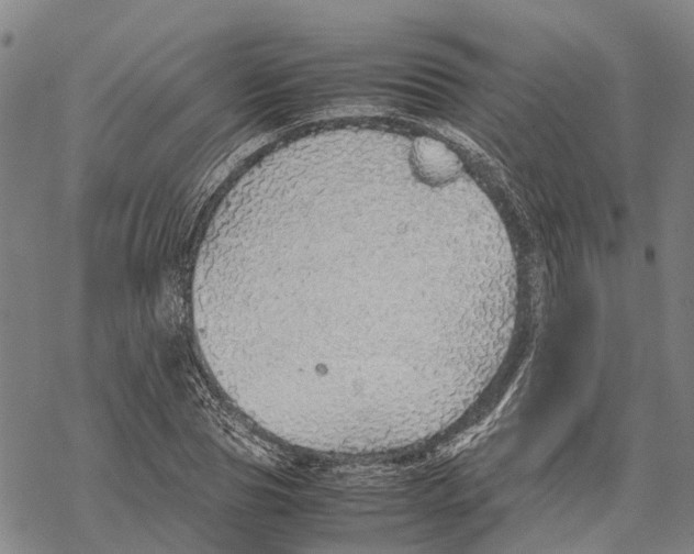 X0000067480929200605051708