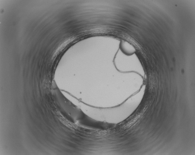 X0000067480930200605051709