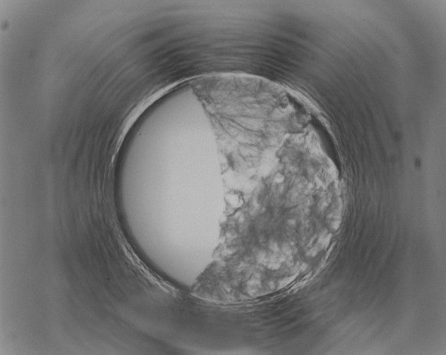 X0000067480933200605051709