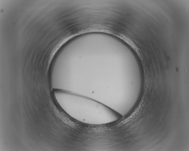 X0000067480934200605051709