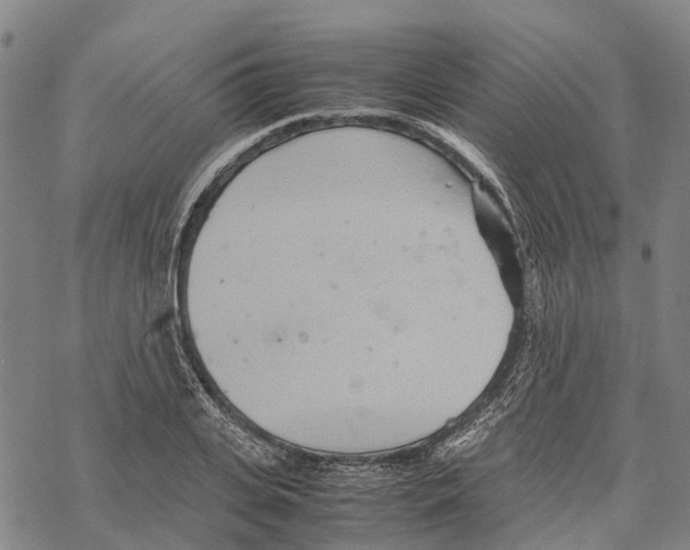 X0000067480935200605051709