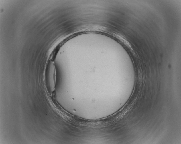 X0000067480936200605051709