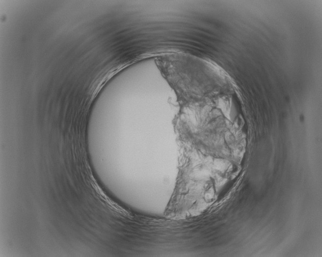 X0000067480937200605051709