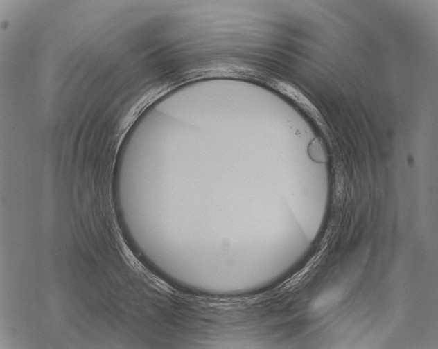 X0000067480938200605051709