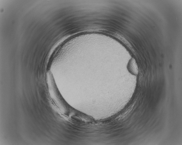 X0000067480939200605051709