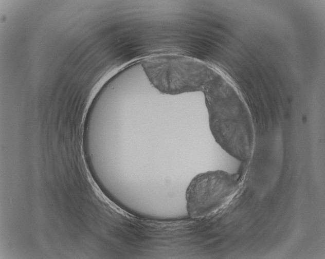 X0000067480941200605051709