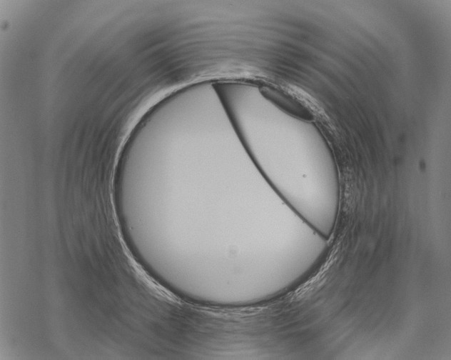 X0000067480942200605051709